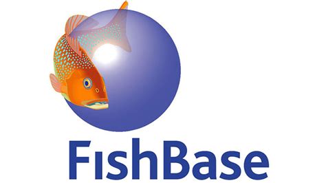Fish base. A hybrid event on 5-6 September 2022 to showcase the uses and applications of FishBase and SeaLifeBase, online information systems on aquatic species. Learn from experts and … 