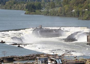 Fish counts at willamette falls. Work is underway to repair the fishway system at Willamette Falls. Anglers and other users of the river may be seeing barge traffic as construction materials are transported from down river to the ... 