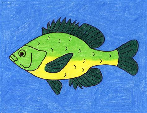Fish drawing. Things To Know About Fish drawing. 