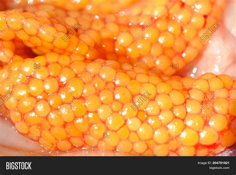 Fish eggs called caviar. .  <a href=http://liliyaflower.ru/xcka1/plava-...