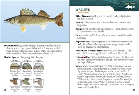 Fish of minnesota field guide the fish of. - Introduction to engineering experimentation 3rd edition solution manual.