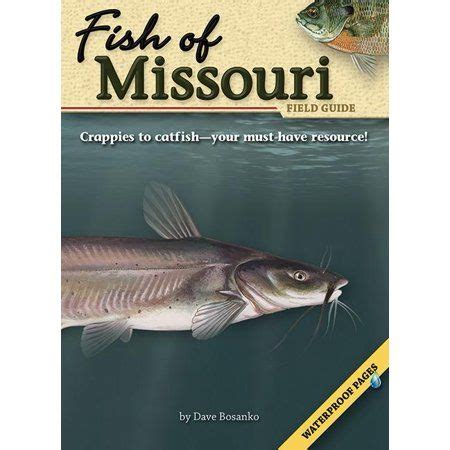 Fish of missouri field guide field guides adventure publications. - Gsm gprs gps tracker manual en espanol.