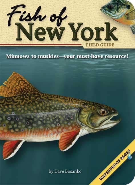 Fish of new york field guide fish of. - Ignacy jan paderewski : album międzynarodowego towarzystwa muzyki polskiej im. ignacego jana paderewskiego w warszawie.