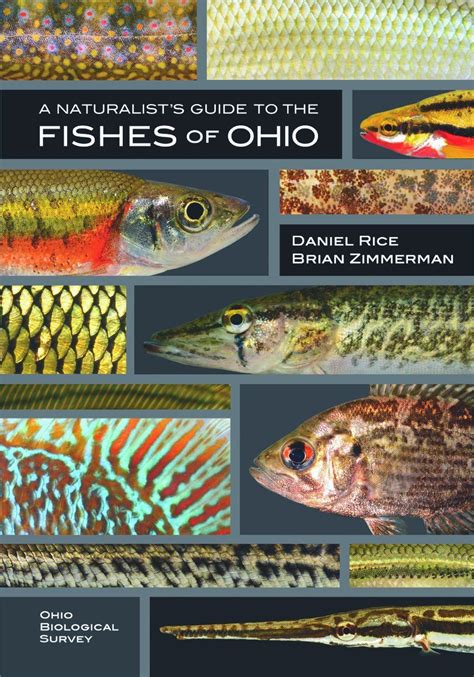 Fish of ohio field guide the fish of. - Strain gage users handbook free book.