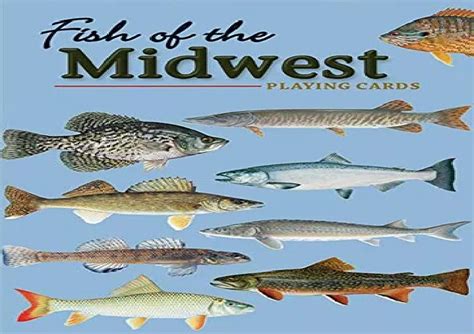 Fish of the Midwest (Nature