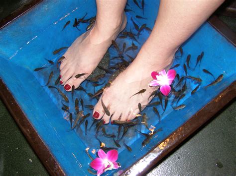 So, without further ado, here are the best places to get a fish pedicure in Baltimore: 1. The Four Seasons Hotel Baltimore 2. The Ritz-Carlton, Baltimore 3. The Spa at Belvedere 4. The Spa at Harbor East 5. The Red Door Spa 6.