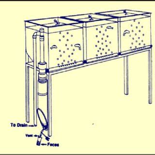 Fish respirometer system designed and used by Cho et al. (1982)