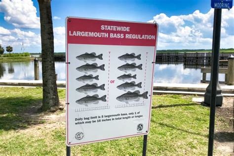 Fish rules florida.  on February 25, 2021 which added 16 high-risk nonn...