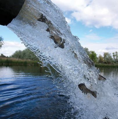 Fish stocking database.  Idaho Fish Stocking Database Load, Edit and View...