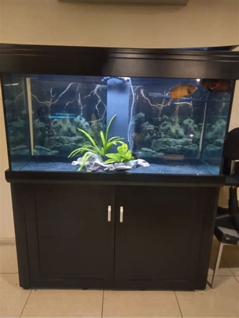 Fish tank Pet Products Gumtree Australia Toowoomba City - Toowoomba …