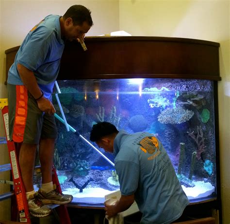 Fish tank cleaning services. 
