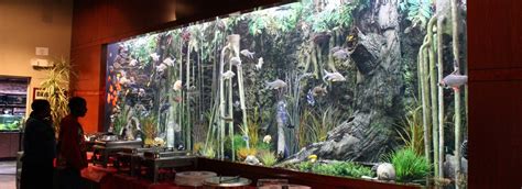 Fish tank sacramento. Exotic Aquarium, Sacramento, California. 3,519 likes · 5 talking about this · 724 were here. 16000 Sq Ft. Largest Aquarium Store in the Norcal! Over 500 display tanks Salwater, Reef, Freshwater 