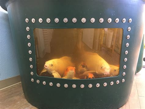 Fish tank window kit.  The complete kit .  Check all of the bolt holes f...