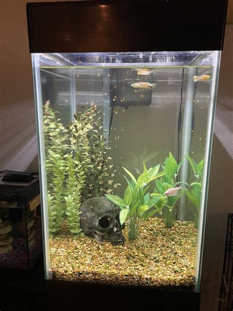 I have no reason to rate Fish poorly. Everyone I spoke to was prompt and courteous. I just wish they cold have done it while I was at home, but weather and my work schedule prohibited that. If I could check to see that the gutters are really clean, I'd have done the job myself. Price was in line with what others ask but seems a bit high.