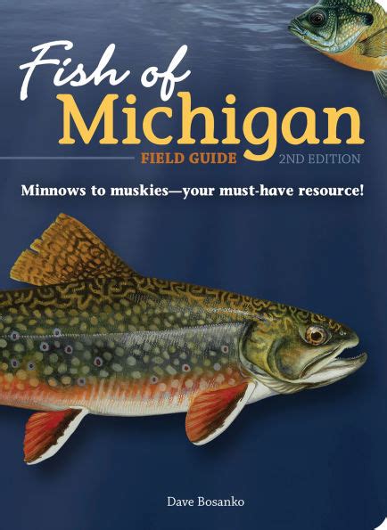 Download Fish Of Michigan Field Guide By Dave Bosanko