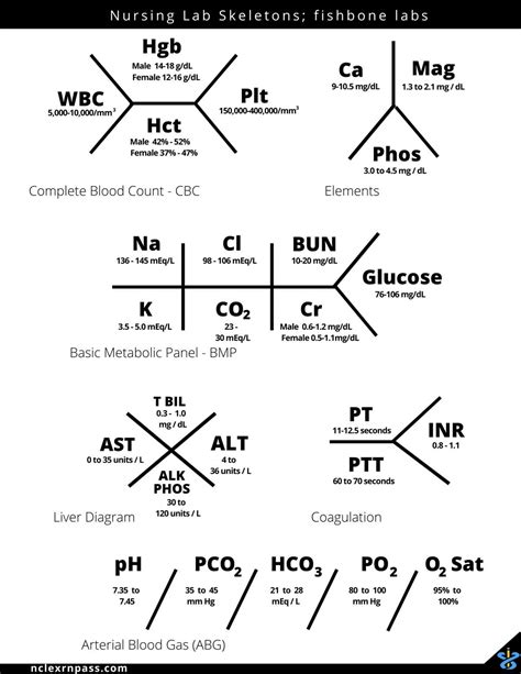 Fishbone lab values Diagram Quizlet