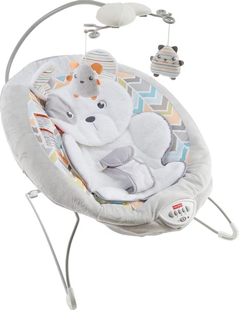 Fisher Price Sweet Snugapuppy Deluxe Bouncer