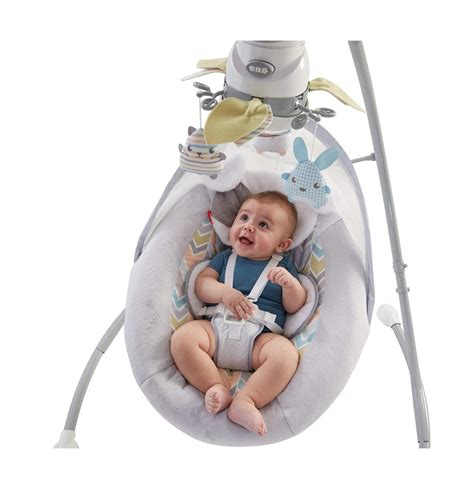 Fisher Price Sweet Snugapuppy Dreams Deluxe Bouncer Batteries