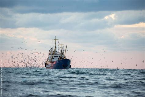 Fisheries ministers adopt 2024 fishing opportunities for the North-East Atlantic, the Mediterranean and the Black Sea