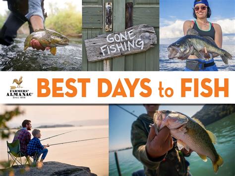 The best fishing days for biting in April: from 1, 13 to 16. from 24 to 30. Good fishing days for biting in April: 2, 3, 11, 12, 17. Bad fishing days for biting in April: from 5 to 9. from 19 to 22. Fishing calendar for April 2023 – Best Fishing Days – Crazy Nibble..