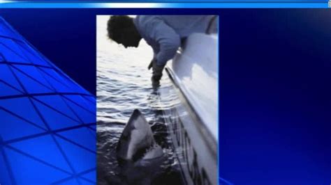 Fisherman: I caught a 2,500-pound shark with rod, reel CNN