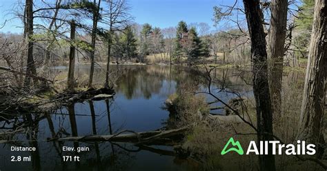 Fisherville Brook Trails & Walks in Rhode Island