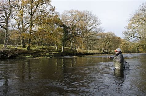 Fishing And Angling Clubs in Menai Bridge