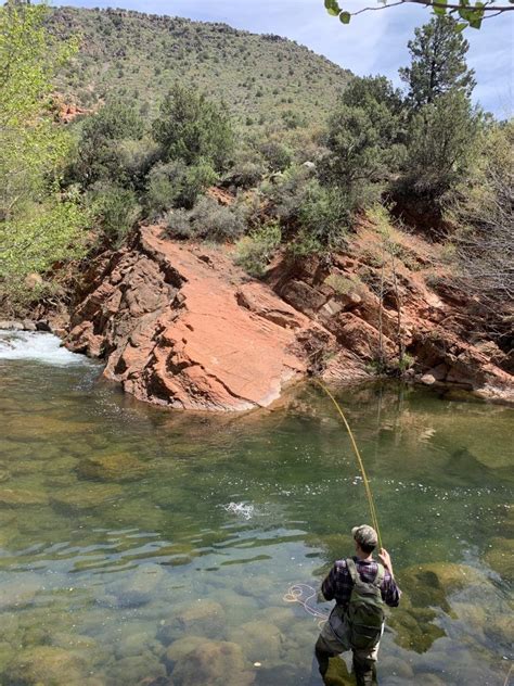 Fishing In Sedona: Trout On The Fly, Arizona Guides – The …