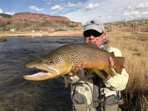 Fishing Near Bryce Canyon