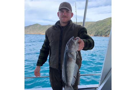 Fishing Report for Wellington Report - NZ Fishing World