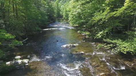 Fishing Santeetlah Creek & Tribs, North Carolina - YouTube