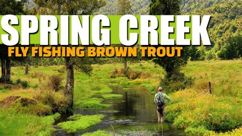 Fishing Times for Spring Creek near Burley, Idaho