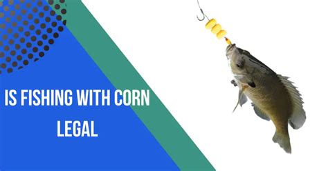 Fishing With Corn: Where It’s Legal & Where It’s Illegal