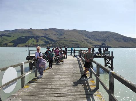 Fishing buddies (Christchurch area) Facebook