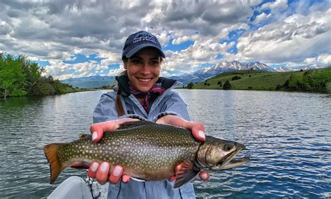 Fishing for Tricos Montana Fly Fishing