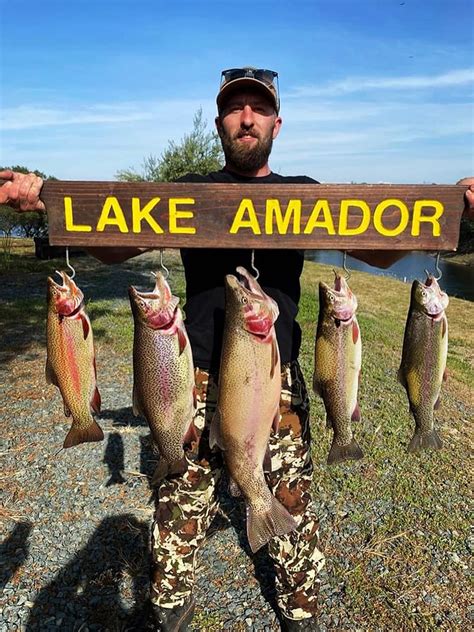 Fishing lake amador. Lake Amador Fishing Report Lake Amador - Ione, CA (Amador County) Rainbow Trout, Lightning Trout. Photo Credit: Courtesy of Lake Amador. by Lake Amador Staff 5-4-2020 Website. Lake Amador Friday 5/1/20 "All I can Really Say is: WOW!!! What an Awesome Fun day of Trolling!!! Today I had Rich & Renee Out with me. 