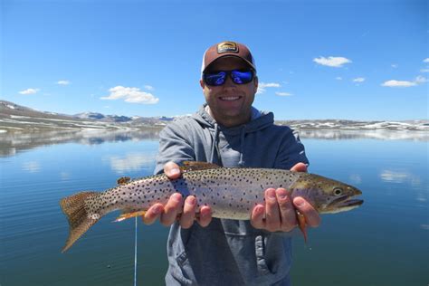 Fishing report at strawberry reservoir. Date: Report: Author: 4-18-2024: Open Water Fishing We got out and found a little water... more » Strawberry Bay Marina & Lodge: 4-17-2024: LAKE CONDITIONS: 4.17.2024 The sun is out and the snow is... 