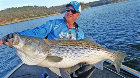 Beaver Lake: Whether to fish for black bass with fall tactics or winter methods? ... NWA fishing report: Anglers need both fall, winter tactics. December 5, 2023 at 2:00 a.m. by Flip Putthoff .... 