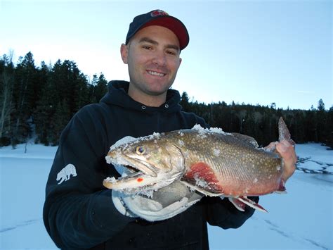 Utah Fish Reports. Northern Region fishing forec