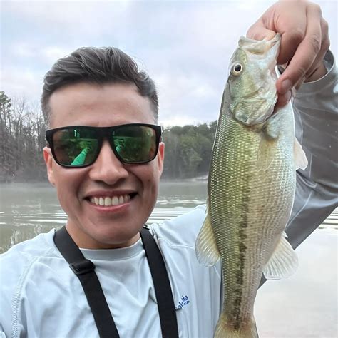 Fishing reports, best baits and forecast for fishing in Lake Wylie