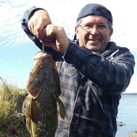 Fishing reports, best baits and forecast for fishing in Seal Rocks Bay