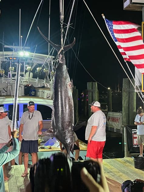 Fishing team's massive marlin disqualified over apparent shark bites