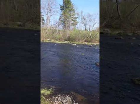 Fishing the St George River Maine - YouTube