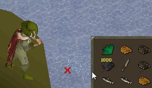 The fish from Barb fishing are not useful, even on a main. Everyo