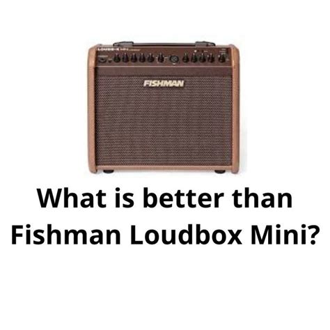 Fishman Loudbox Mini Vs Fender Acoustasonic Musicalvs.com