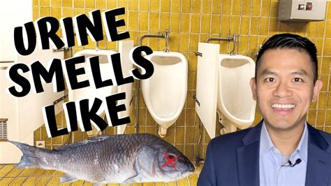 The most common sign and symptom of trimethylaminuria is a strong fish-like odor. It may be released in: sweat. breath. urine. reproductive fluids. The fish-like odor may vary in consistency or ...