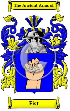 Fist Name Meaning, Family History, Family Crest & Coats of