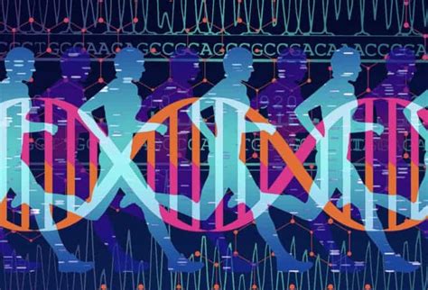 Fitness genes. 28 Oct 2021 ... But recently, studies have also shown that the reason we all adapt differently to exercise is largely related to genetics. In fact, research has ... 