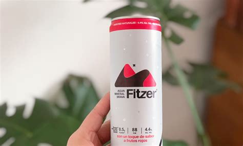 Fitzer & Friends 🛒🍾 (Polanco) a domicilio en Ciudad de México