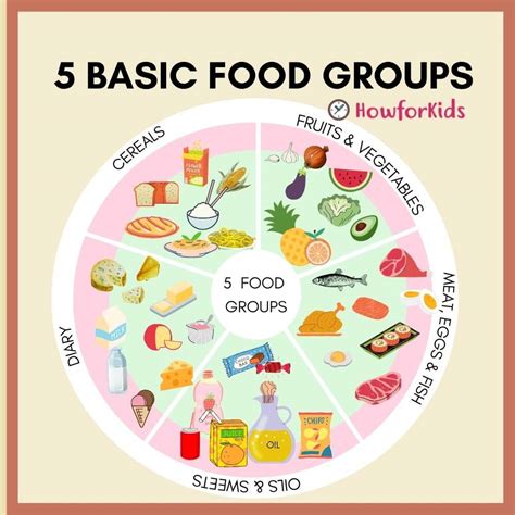 Five Basic Food Groups to Help Your Body Function Efficiently